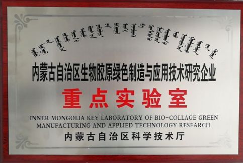 內蒙古自治區企業重點實驗室